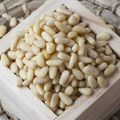 Phytorex-Pine Seed
