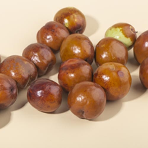 Phytorex-Jojoba